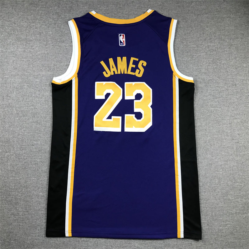 Men's Los Angeles Lakers LeBron James #23 NBA Purple Swingman Jersey1