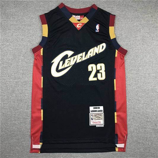 Men's Cleveland Cavaliers LeBron James 2008-09 Hardwood Classics Swingman Jersey1