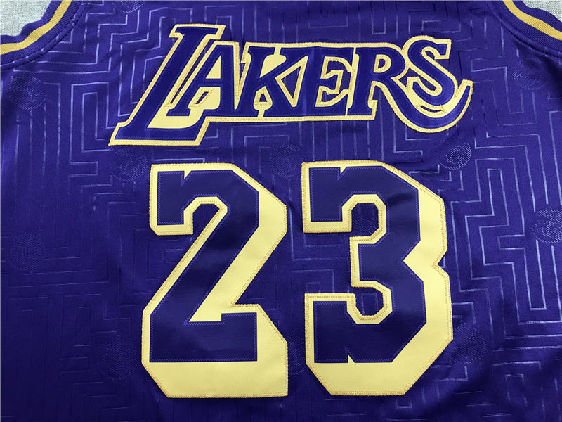 Men's Los Angeles Lakers LeBron James 2018-19 Hardwood Classics Swingman Jersey1
