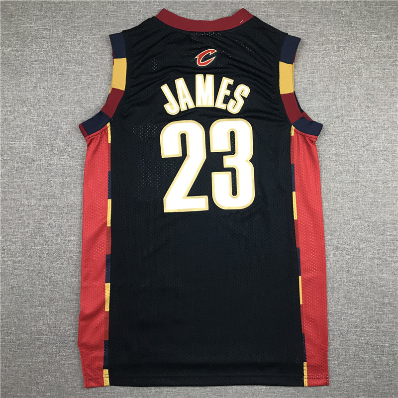 Men's Cleveland Cavaliers LeBron James 2008-09 Hardwood Classics Swingman Jersey1