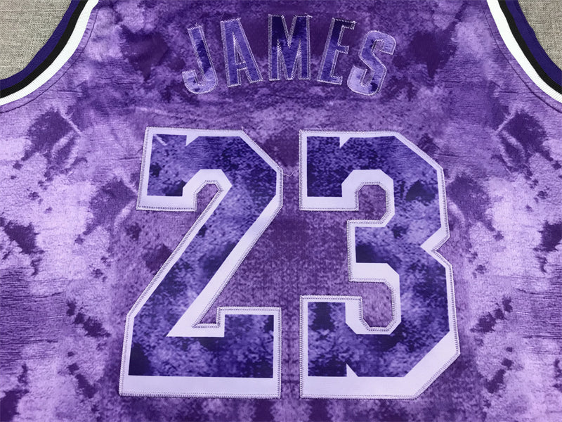 Men's Los Angeles Lakers LeBron James #23 Purple Select Series Swingman Jersey1