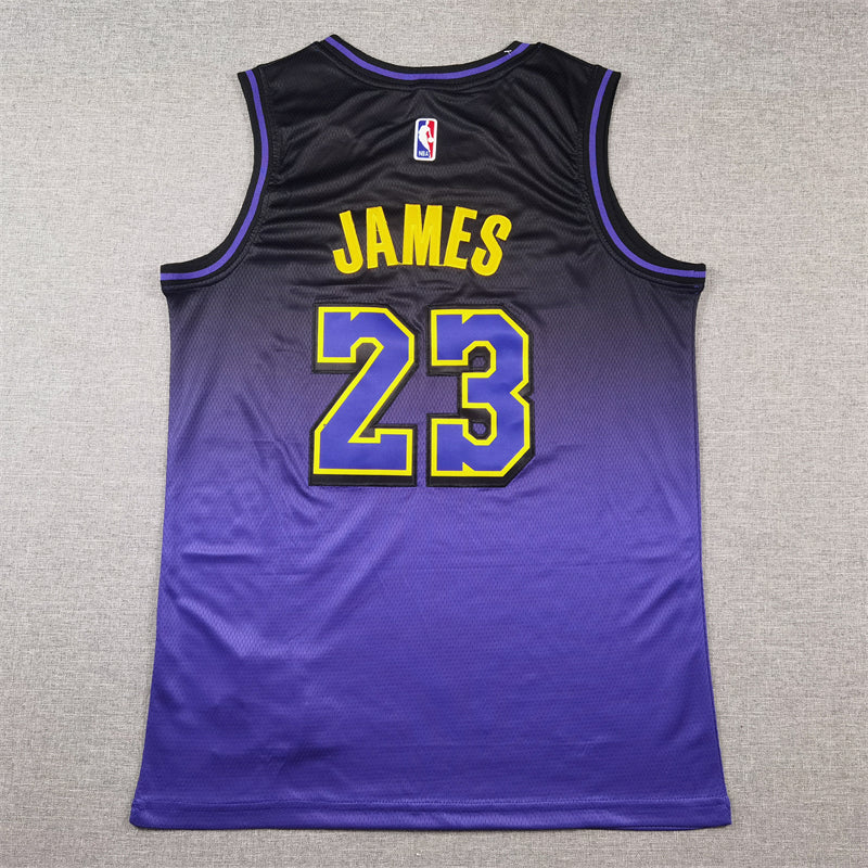 Men's Los Angeles Lakers LeBron James #23 Purple 2024/25 Swingman Jersey1 - City Edition