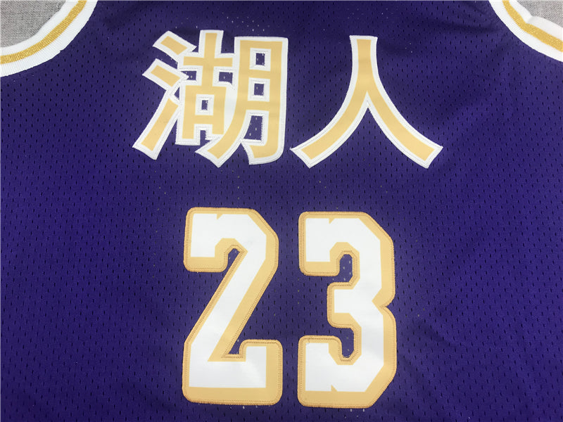 Men's Los Angeles Lakers LeBron James Purple Hardwood Classics Swingman Jersey1