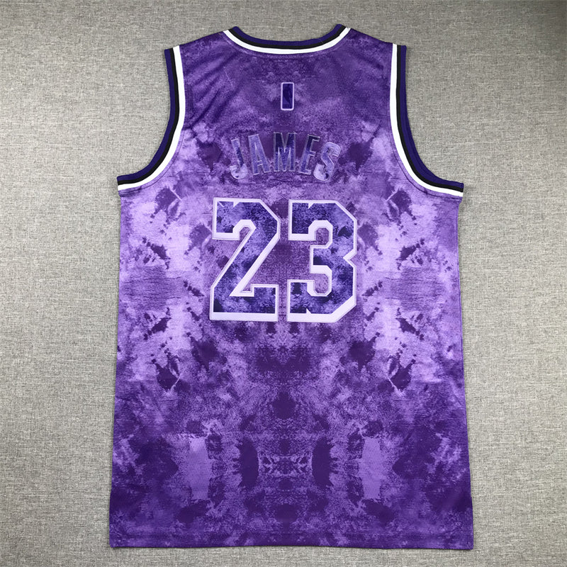 Men's Los Angeles Lakers LeBron James #23 Purple Select Series Swingman Jersey1