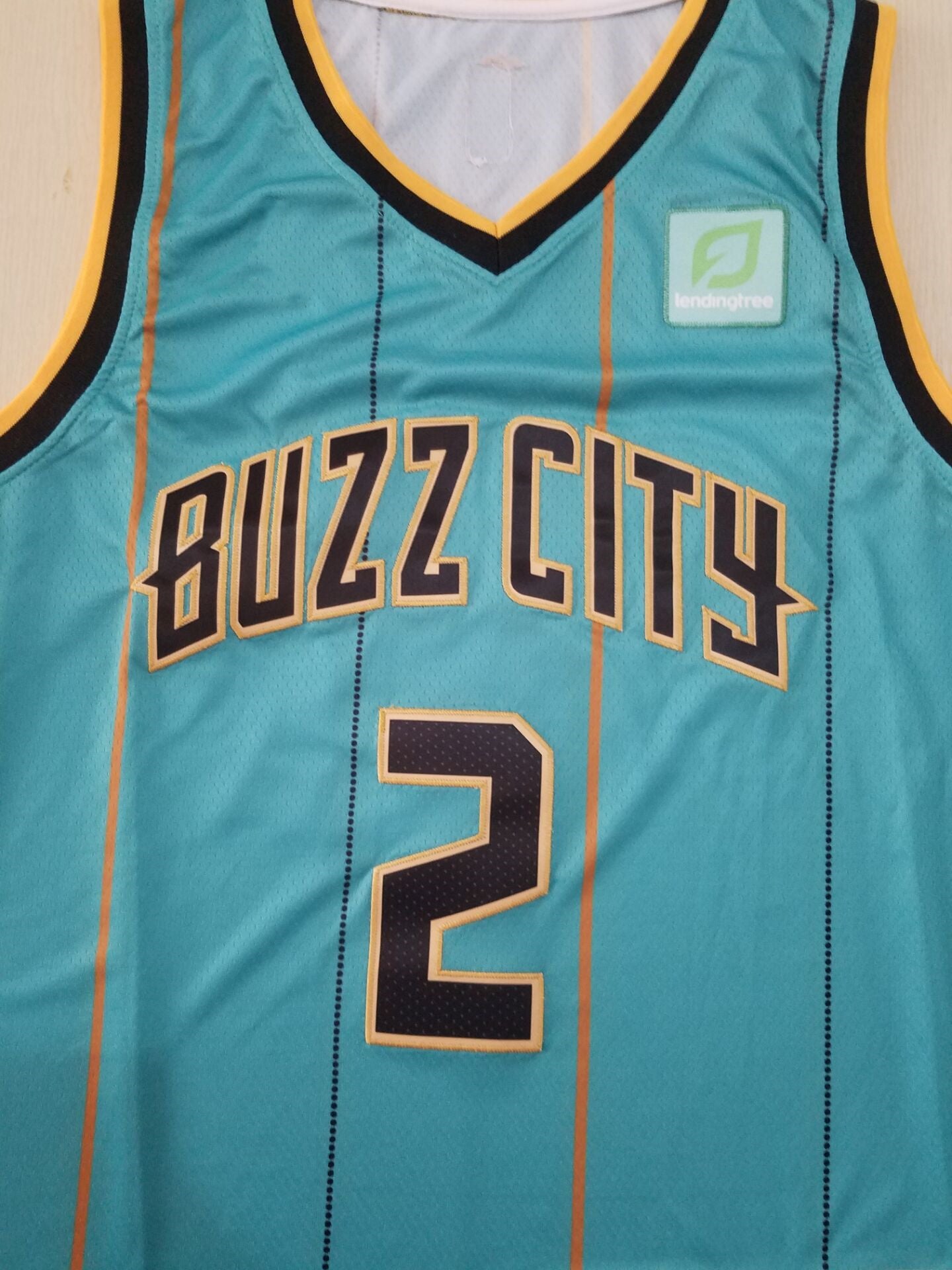 Men's Charlotte Hornets LaMelo Ball Green 2020-21 swingman jersey1