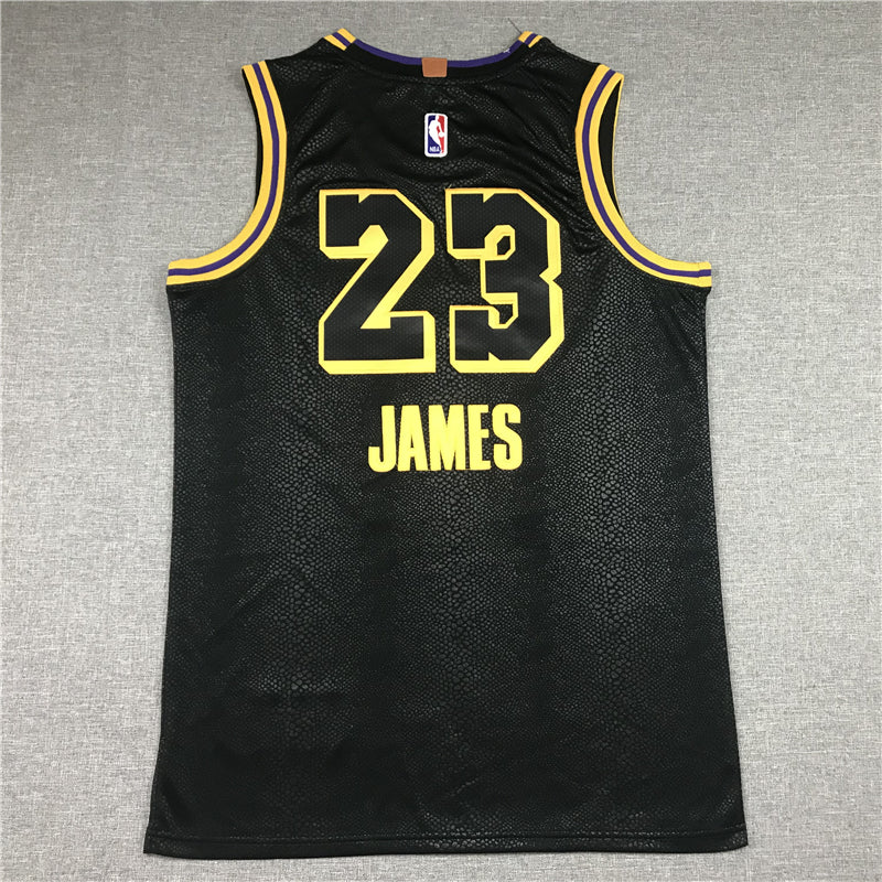 Men's Los Angeles Lakers Lebron James #23 Final Path Jersey1 Stitched