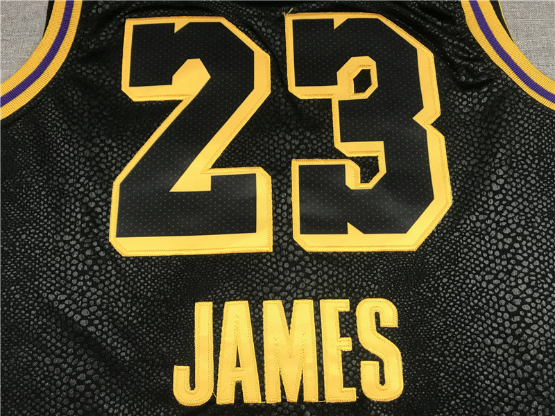 Men's Los Angeles Lakers Lebron James #23 Final Path Jersey1 Stitched