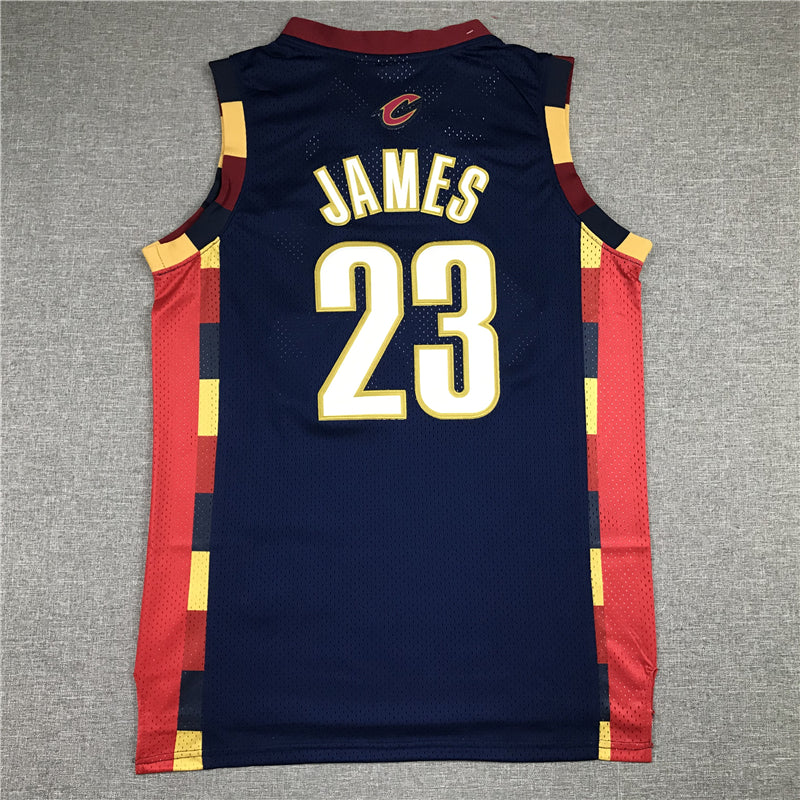 Men's Cleveland Cavaliers LeBron James 2008-09 Hardwood Classics Player Jersey1