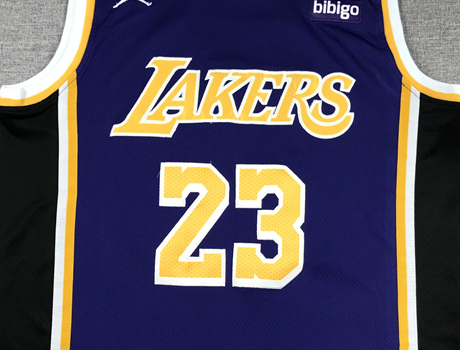 Men's Los Angeles Lakers LeBron James #23 NBA Purple Swingman Jersey1
