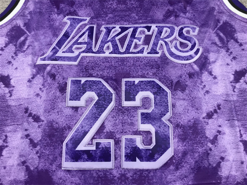 Men's Los Angeles Lakers LeBron James #23 Purple Select Series Swingman Jersey1