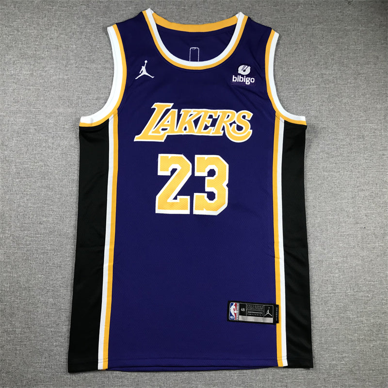 Men's Los Angeles Lakers LeBron James #23 NBA Purple Swingman Jersey1