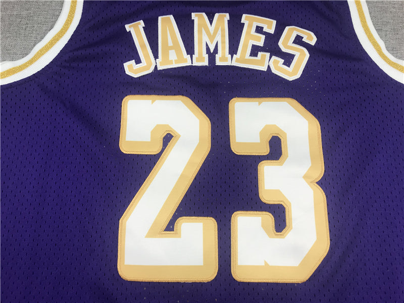 Men's Los Angeles Lakers LeBron James Purple Hardwood Classics Swingman Jersey1
