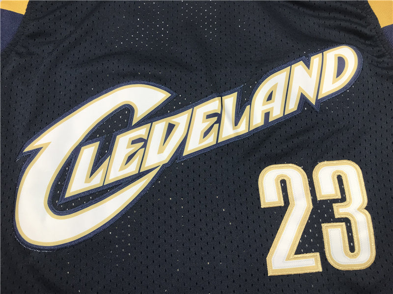 Men's Cleveland Cavaliers LeBron James 2008-09 Hardwood Classics Swingman Jersey1