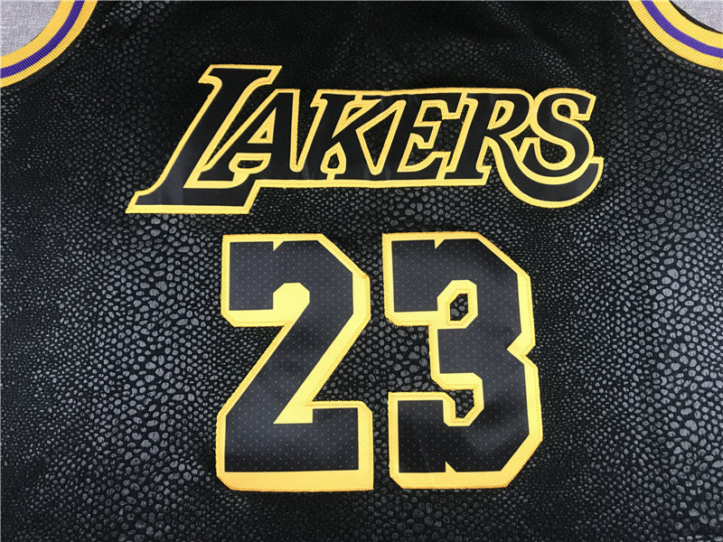 Men's Los Angeles Lakers Lebron James #23 Final Path Jersey1 Stitched