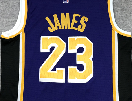 Men's Los Angeles Lakers LeBron James #23 NBA Purple Swingman Jersey1