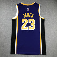 Men's Los Angeles Lakers LeBron James #23 NBA Purple Swingman Jersey1