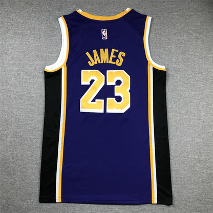 Men's Los Angeles Lakers LeBron James #23 NBA Purple Swingman Jersey1
