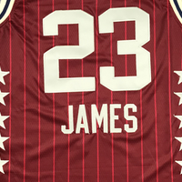 Men's Los Angeles Lakers LeBron James #23 Crimson 2024 NBA All-Star Game Swingman Jersey1