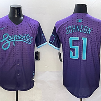 Men's Arizona Diamondbacks Randy Johnson #51 Purple 2025 City Connect Limited Player Jersey