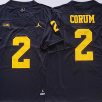 Men's Michigan Wolverines Blake Corum #2  Navy  Alumni Player Game Jersey