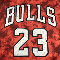 Men's Chicago Bulls Michael Jordan #23 Red Galaxy Swingman Jersey1