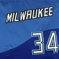 Men's Milwaukee Bucks Giannis Antetokounmpo Blue 2020/21 Swingman Player Jersey1