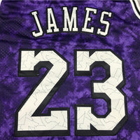 Men's Los Angeles Lakers LeBron James #23 Purple Galaxy Swingman Jersey1