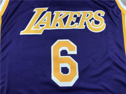 Men's Los Angeles Lakers LeBron James #6 Purple 2022/23 Swingman Player Jersey1