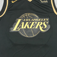 Men's Los Angeles Lakers LeBron James #23 NBA Black Swingman Player Jersey1