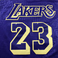 Men's Los Angeles Lakers LeBron James 2018-19 Hardwood Classics Swingman Jersey1