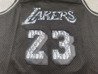 Men's Los Angeles Lakers LeBron James #23 Black 2018/19 Hardwood Classics Swingman Jersey1