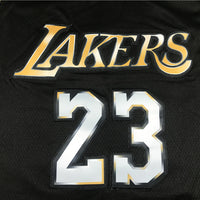 Men's Los Angeles Lakers LeBron James #23 Black Swingman Player Jersey1