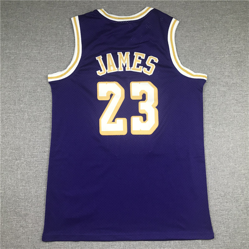 Men's Los Angeles Lakers LeBron James Purple Hardwood Classics Swingman Jersey1