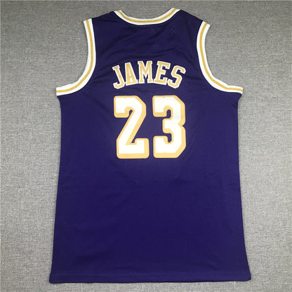 Men's Los Angeles Lakers LeBron James Purple Hardwood Classics Swingman Jersey1
