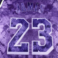 Men's Los Angeles Lakers LeBron James #23 Purple Select Series Swingman Jersey1