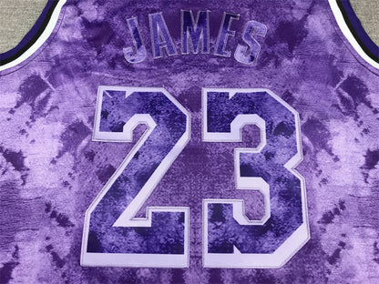 Men's Los Angeles Lakers LeBron James #23 Purple Select Series Swingman Jersey1