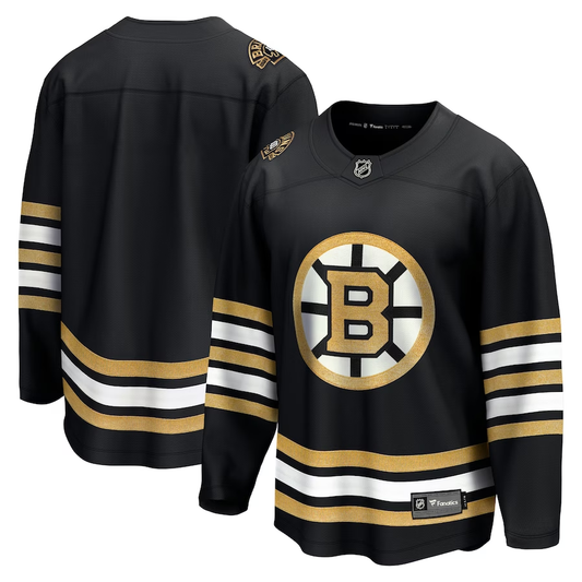 Men's Boston Bruins Black 100th Anniversary Primegreen Authentic Blank Jersey1