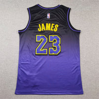Men's Los Angeles Lakers LeBron James #23 Purple 2024/25 Swingman Jersey1 - City Edition