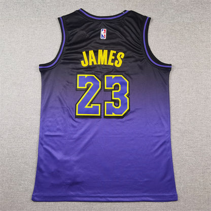 Men's Los Angeles Lakers LeBron James #23 Purple 2024/25 Swingman Jersey1 - City Edition