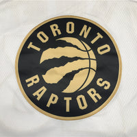 Men's Toronto Raptors Fred VanVleet White Swingman Player Jersey1