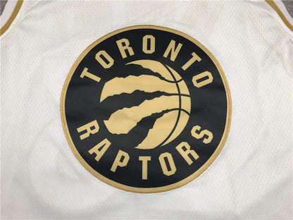 Men's Toronto Raptors Fred VanVleet White Swingman Player Jersey1