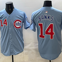 Men's Chicago Cubs Ernie Banks #14 Baby Blue 2nd Alternate Limited Player Jersey