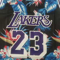 Men's LeBron James Los Angeles Lakers #23 NBA Classics Authentic Jersey1