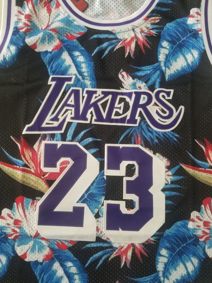 Men's LeBron James Los Angeles Lakers #23 NBA Classics Authentic Jersey1