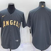 Men's Los Angeles Angels Dark Gray Alternate Replica Team Blank Jersey1