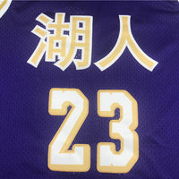 Men's Los Angeles Lakers LeBron James Purple Hardwood Classics Swingman Jersey1