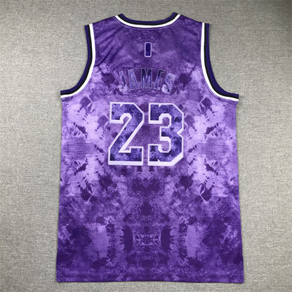 Men's Los Angeles Lakers LeBron James #23 Purple Select Series Swingman Jersey1