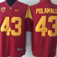Men's USC Trojans Troy Polamalu #43 Cardinal Player Game Jersey