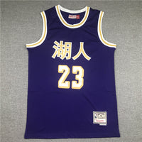 Men's Los Angeles Lakers LeBron James Purple Hardwood Classics Swingman Jersey1