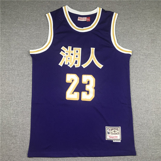 Men's Los Angeles Lakers LeBron James Purple Hardwood Classics Swingman Jersey1
